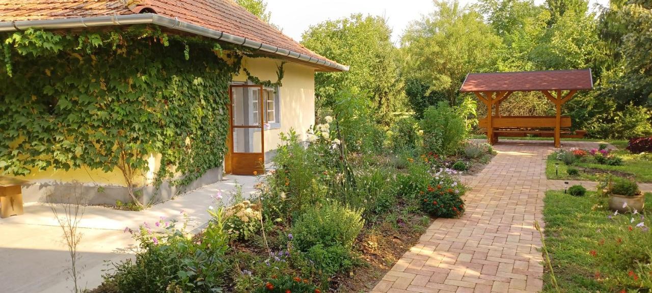 Hungarian Farmhouse Zakanyszek Екстериор снимка