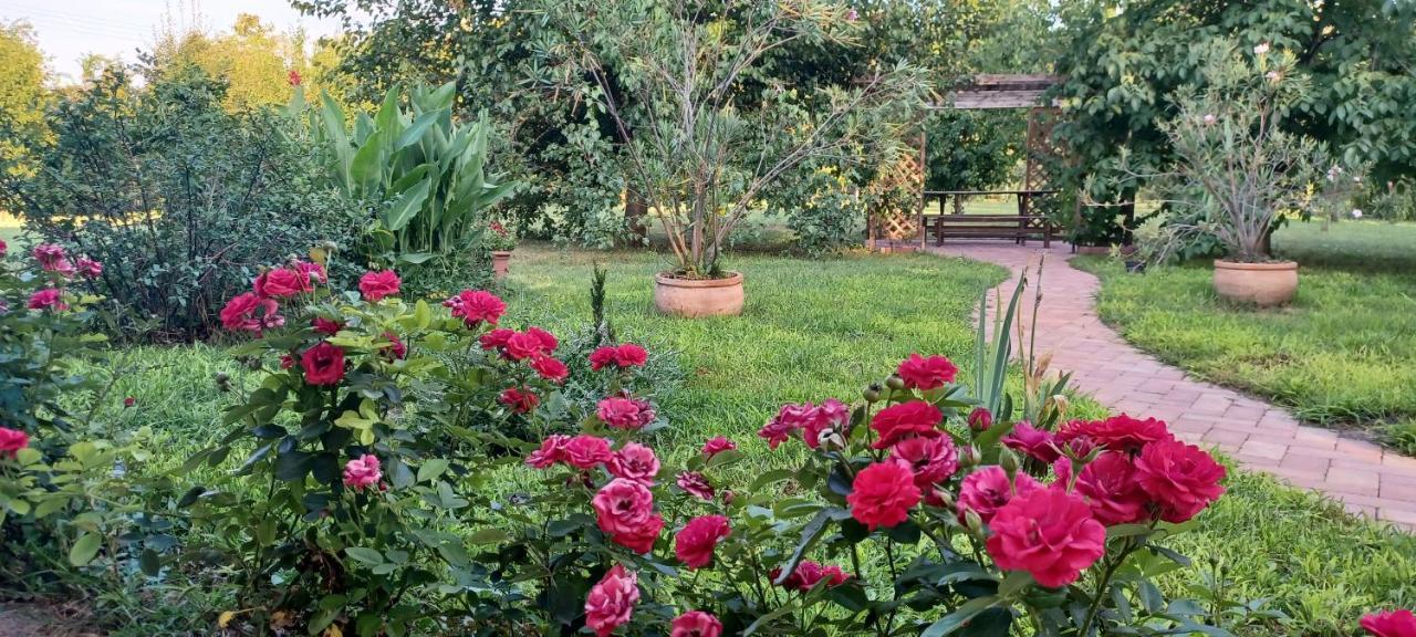 Hungarian Farmhouse Zakanyszek Екстериор снимка