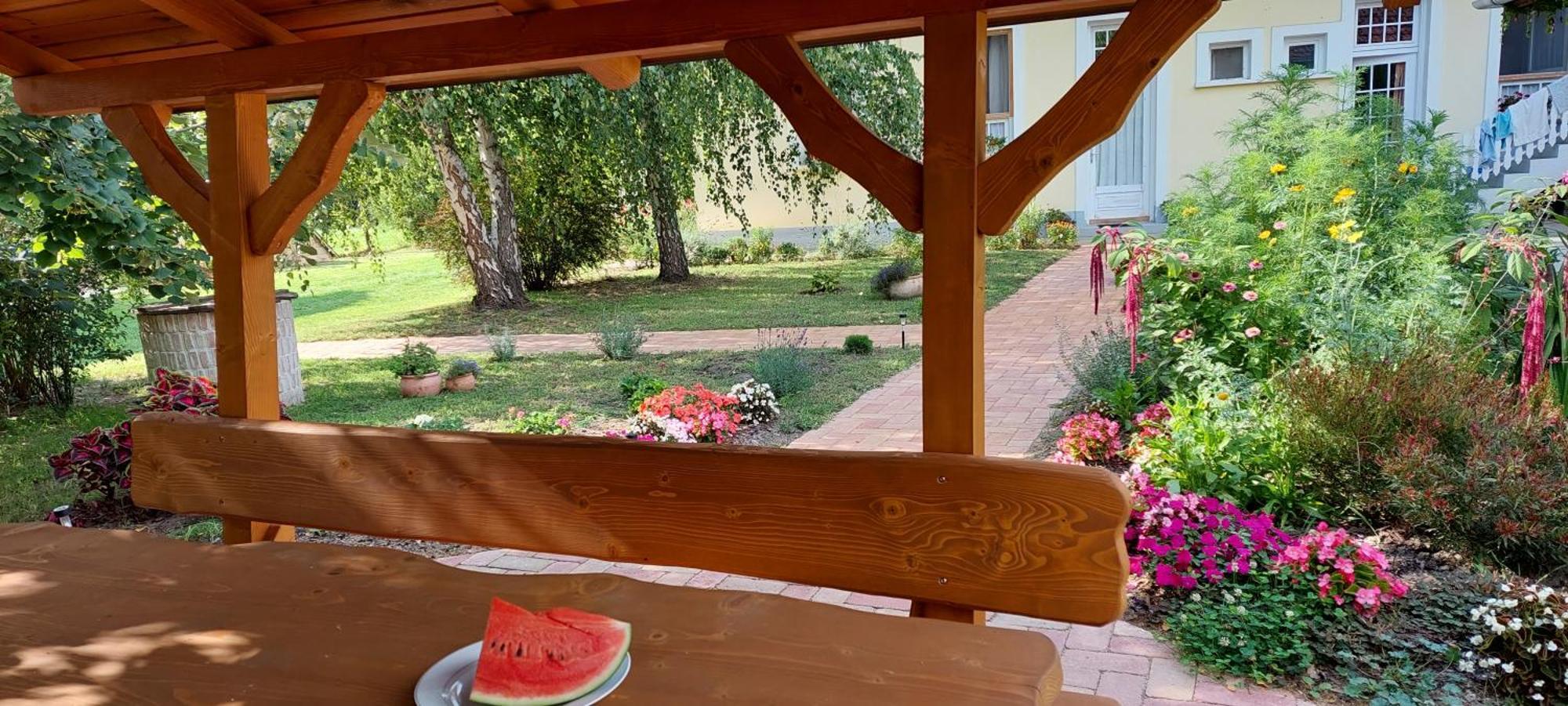 Hungarian Farmhouse Zakanyszek Екстериор снимка